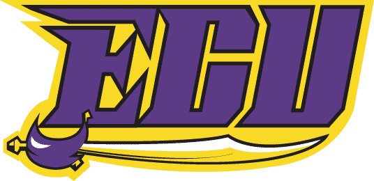 East Carolina Pirates 1999-2013 Wordmark Logo v3 diy iron on heat transfer